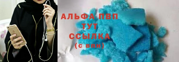 крисы Покачи