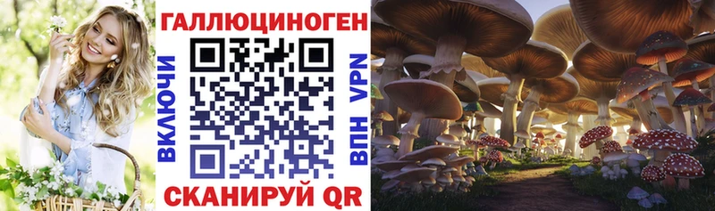 мега как войти  Торжок  Псилоцибиновые грибы Magic Shrooms 