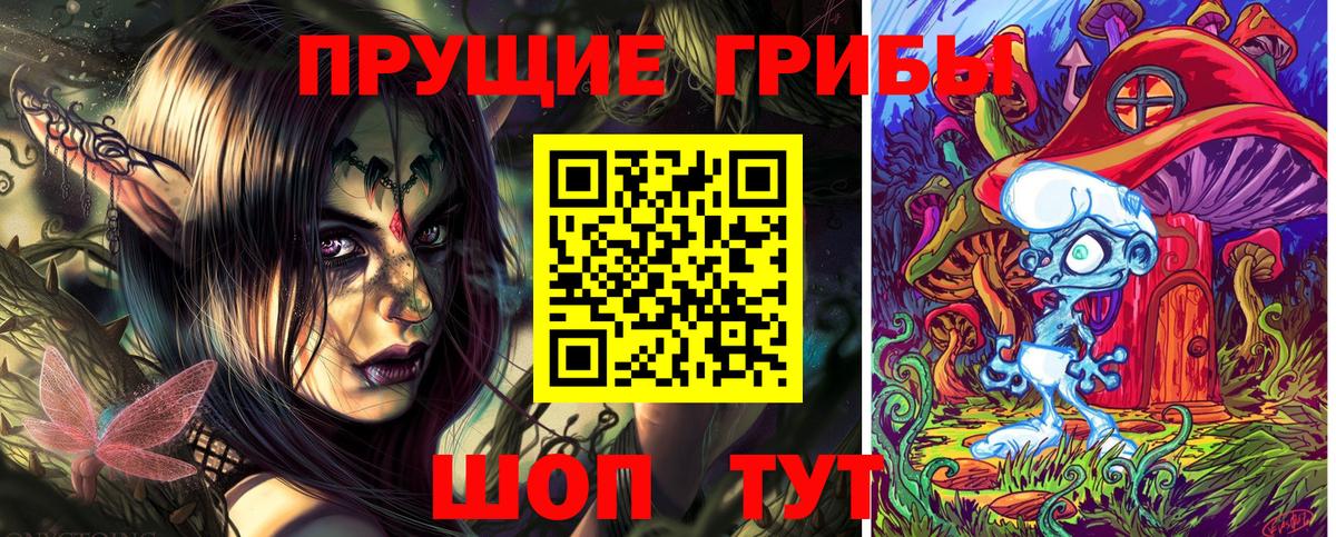 Торжок  Галлюциногенные грибы Psilocybe  Вход с VPN  Псилоцибиновые грибы прущие грибы 