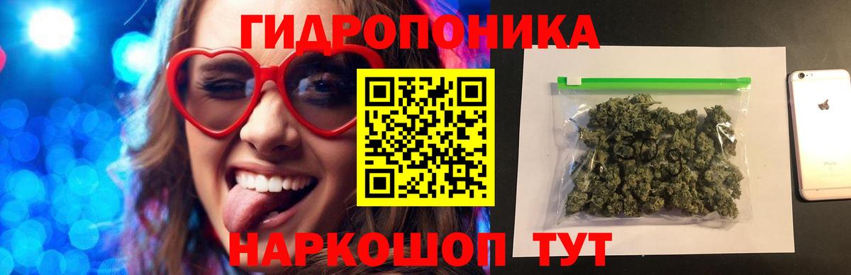 Марихуана план Торжок